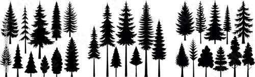 Forest and Conifer Tree Silhouettes – Pine, Douglas Spruce Vector Set for Logo, Badge, and Nature Design on White Background