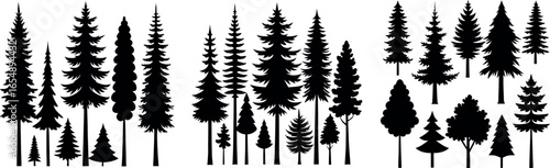 Vector Set of Canadian Pine, Spruce, Fir and Cedar Tree Silhouettes – Coniferous Forest Collection on White Background, Bundle for T-Shirt, Poster and Nature Design