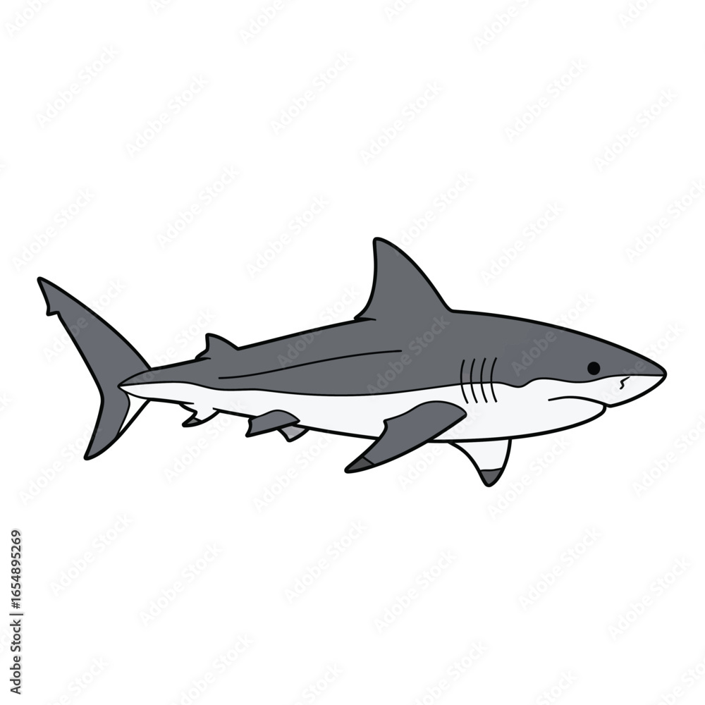Obraz premium A cartoon illustration of a shark, depicted in shades of gray, isolated on white.