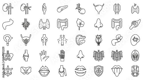 Medical Organs Line Icon Set – Vector Pictograms of Human Anatomy and Body Parts, Kidney, Bladder, Pancreas, Intestine, Thyroid, Pelvis, Skeleton, Joint, Hand, Nose, Mouth, Tongue, Thin Linear Illustr