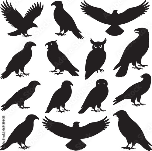 Collection of bird of prey silhouettes including eagles and owls on white background hawk