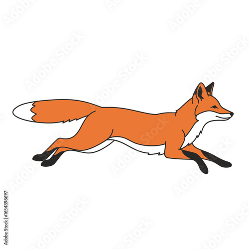 A red fox gracefully runs across a white background, its bushy tail flowing behind.