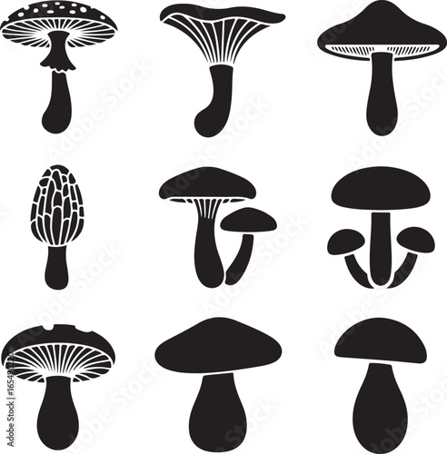 Black silhouettes of nine different types of mushrooms on white background fungus toadstool