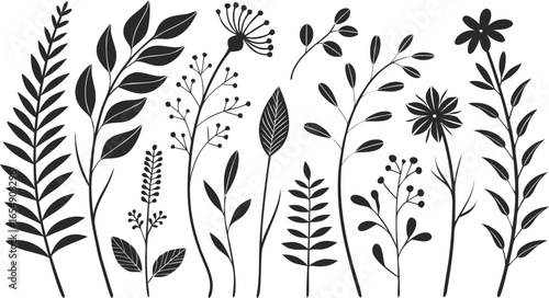 Minimal feminine botanical floral branch in silhouette style. hand drawn sketch branches set. Minimalist black silhouette vector illustration of assorted botanical elements arranged in rows.
