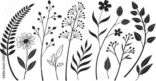 Minimal feminine botanical floral branch in silhouette style. hand drawn sketch branches set. Minimalist black silhouette vector illustration of assorted botanical elements arranged in rows.