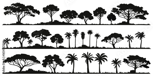 tree species silhouettes rows palm trees tropical deciduous forest botanical collection isolated on white background.