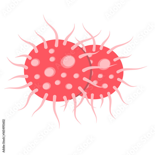 Gonorrhea Bacteria