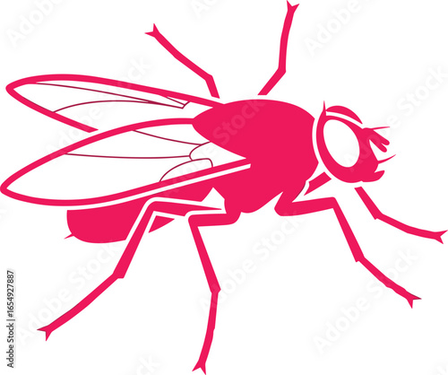 Vector illustration of fly insect silhouette in bold pink color, graphic pest design, detailed housefly drawing, nature insect artwork for decoration, logo