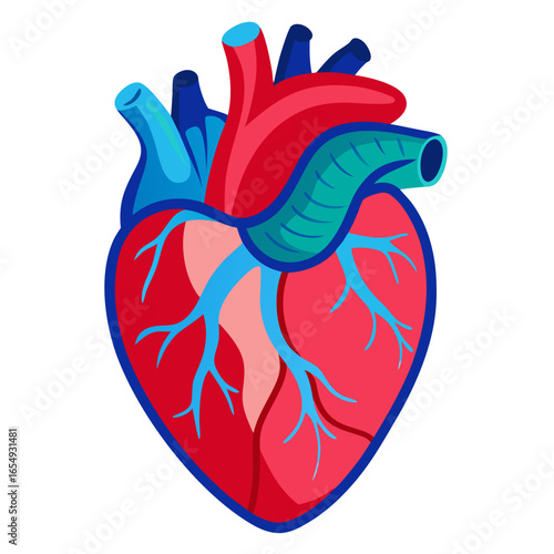 Vibrant anatomical heart illustration symbolizing life, health, and vitality, perfect for medical or wellness concepts needing a strong visual impact.