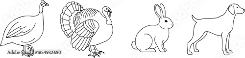Outline Drawings of Farm Animals and Domestic Pets turkey