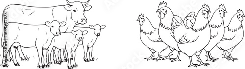 Farm animals including cow with calves and group of chickens calf cattle