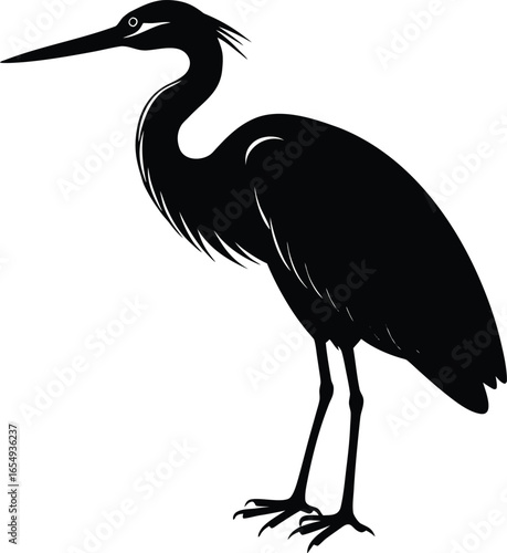 Silhouette of a Great Blue Heron Bird on white background