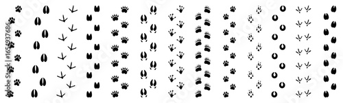 Wildlife beasts footprints trails set. Lines of animals footmarks. Animal footsteps tracks. Footprints paw prints