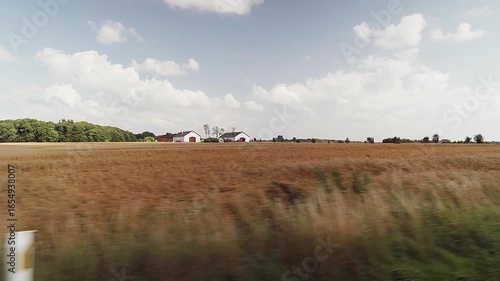 Car trip in the Danish summer landscape, August 2025