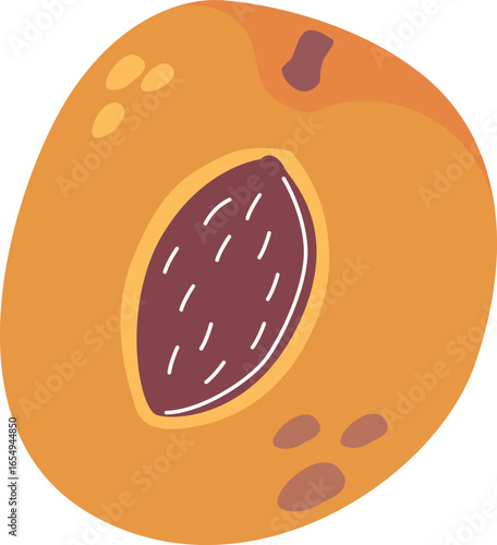 Ripe apricot fruit with seed