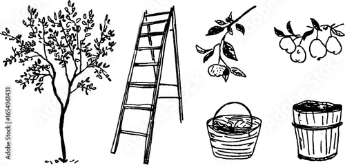 Black and white sketch collection featuring apple tree, ladder, basket, and barrel for rustic design