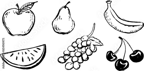 Black and white sketch collection of various fruits for design and print use