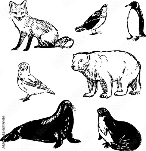 Black and white arctic animal sketches collection for creative design