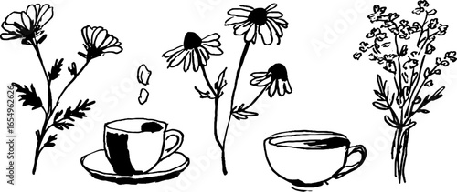 Black and white sketch of chamomile flowers and teacups set for design