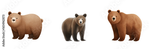 Playful brown bears in a forest habitat wildlife on transparent background