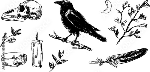 Black and white sketch collection of crow with skull, candle, feather, and branch elements