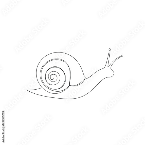Minimalist single line drawing a snail a Continous line vector