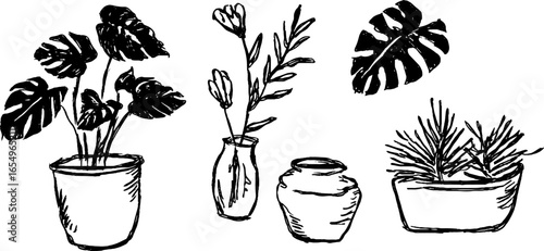 Black and white sketch set of potted plants and leaves for design
