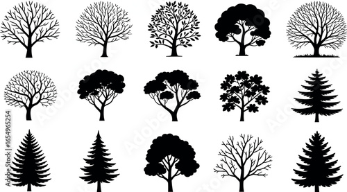 Collection of diverse deciduous and evergreen tree silhouettes in a clean white background illustration