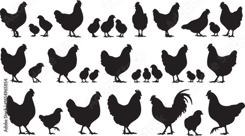 Chicken Family Silhouettes On White Background rooster, chicken, hen, chick, rooster, poultry, farm, farming, agriculture, animal, bird, domestic, livestock, silhouette, black and white, graphic, illu