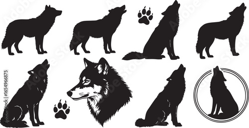 Collection of wolf silhouettes and paw prints on white background, wolf, canine, dog, fox, coyote, animal, wildlife, nature, predator, hunter, pack, howl, howling, paw print, footprint, silhouette, bl