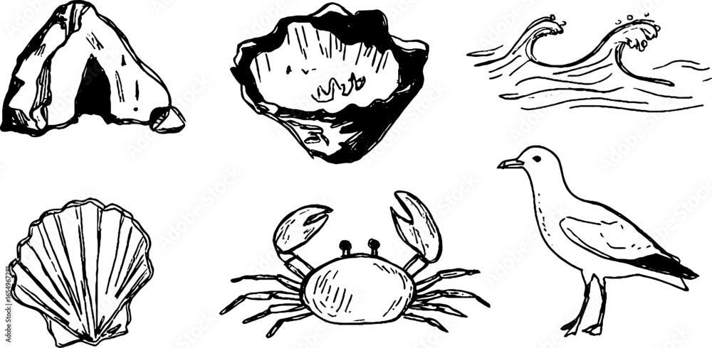 Fototapeta premium Hand-drawn sea creatures and elements sketch set for nautical designs