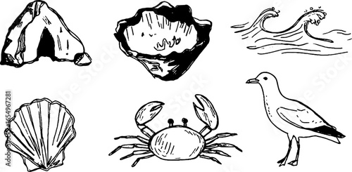 Hand-drawn sea creatures and elements sketch set for nautical designs
