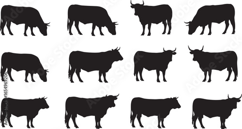 Multiple black silhouettes of cows in various poses, cow, silhouette, black, white background, animal, mammal, livestock, cattle, farm, farming, agriculture, grazing, standing, side view, profile, ill