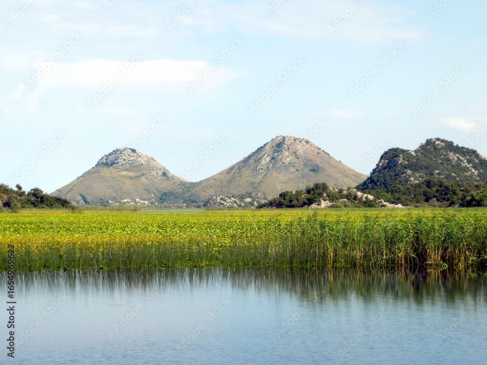 Fototapeta premium Exploring the Tranquil Beauty of Skadar Lake and Its Majestic Mountains in Montenegro