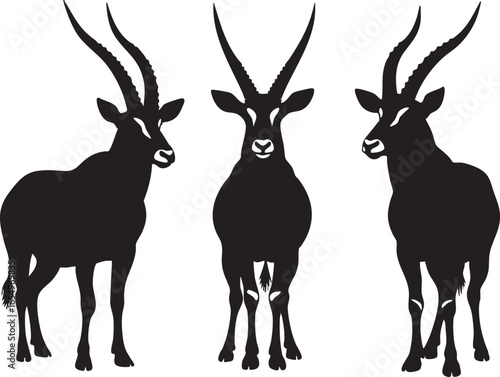 Three antelopes with large horns on white background, antelope, gazelle, animal, wildlife, nature, mammal, horns, silhouette, vector, illustration, graphic, design, creature, safari, africa, savanna, 