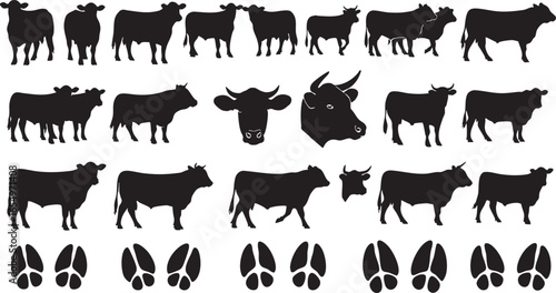 Cattle and hoof prints silhouettes collection bull, cow, bull, cattle, livestock, farm animal, bovine, herd, animal, silhouette, black and white, farm, agriculture, grazing, standing, walking, head, p