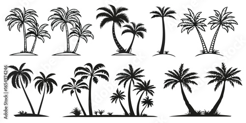 Collection of Black Silhouette Palm Trees on White Background Keywords: palm trees, silhouette, tropical, beach
