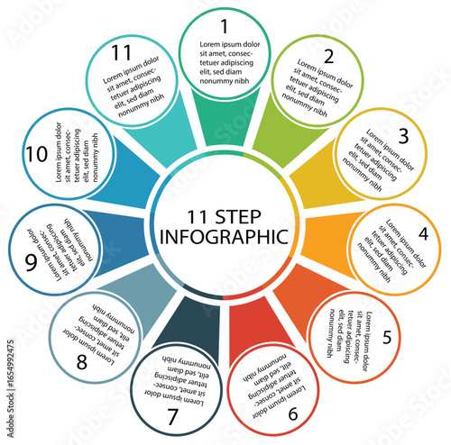 11 step circle to circle infographic