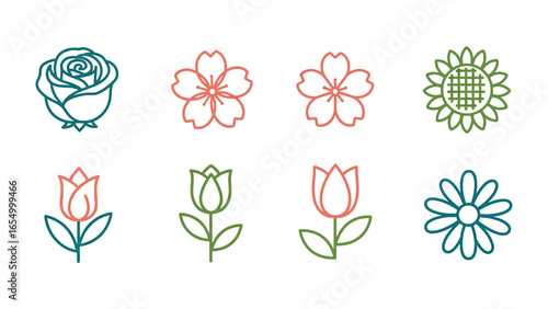 Floral Symphony: A collection of vibrant floral designs elegantly illustrated in clean lines, showcasing the exquisite details of each blossom, each petal, each leaf, and each stem.