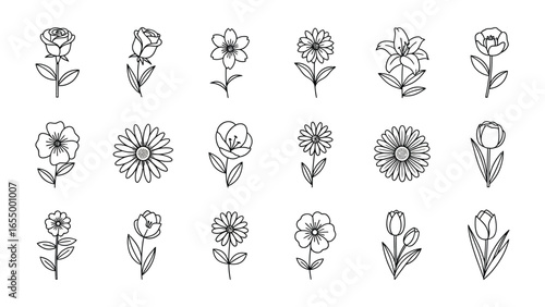 Floral Symphony in Monochrome: An elegant array of line art showcasing diverse botanical blooms, each petal and stem a testament to nature's artistry, rendered in timeless black and white.