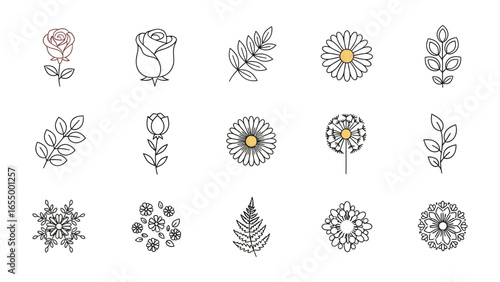 Botanical Beauty: A curated collection of delicate line drawings showcasing a variety of flora, from the intricate petals of a rose to the simple elegance of a daisy.