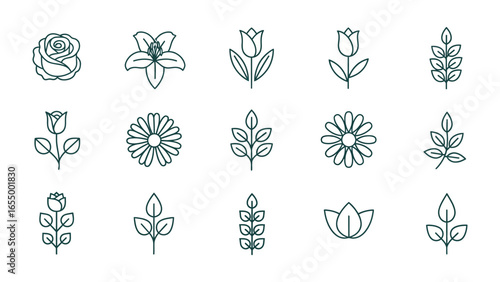 Floral Symphony: A curated collection of delicately drawn flower and plant illustrations, each capturing the essence of natural beauty and botanical diversity, rendered in a clean, elegant style.