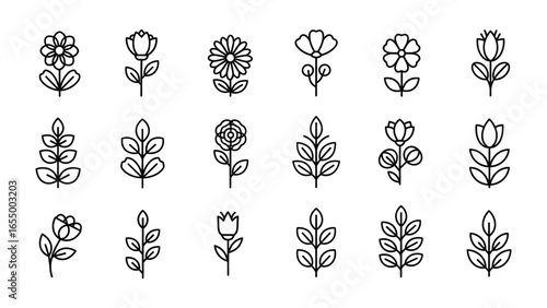 Blooming Botanical Showcase: An array of meticulously crafted floral and leafy graphic elements in a visually striking arrangement, showcasing the beauty of natural forms in an artistic manner.