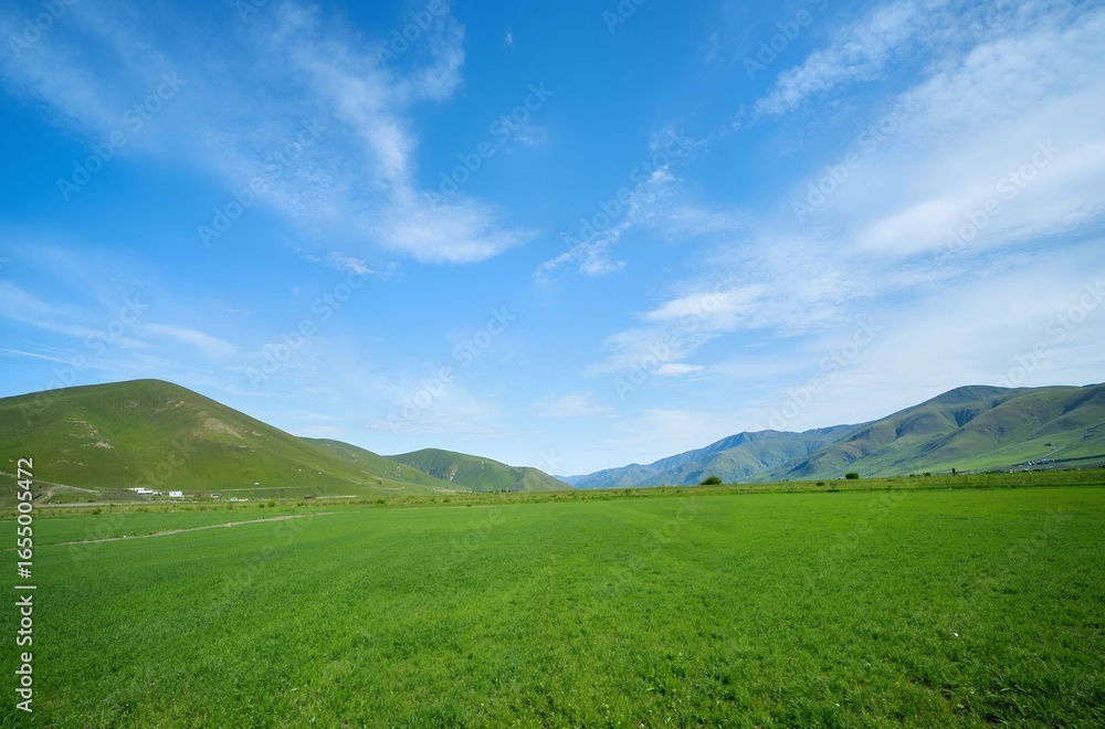 Obraz premium landscape with green grass and blue sky