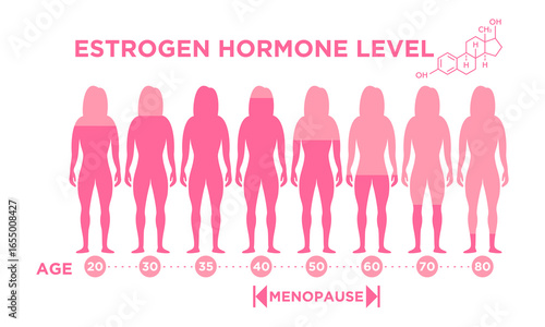 Estrogen hormone level chart, woman's menopausal age descriptive illustration.