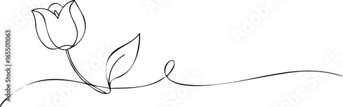 Minimalist single line drawing of a tulip flower