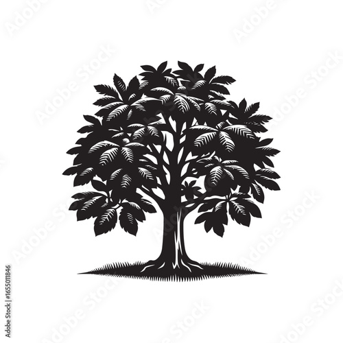 Black Color Chestnut Tree Silhouette Vector Illustration, Solid White Background.