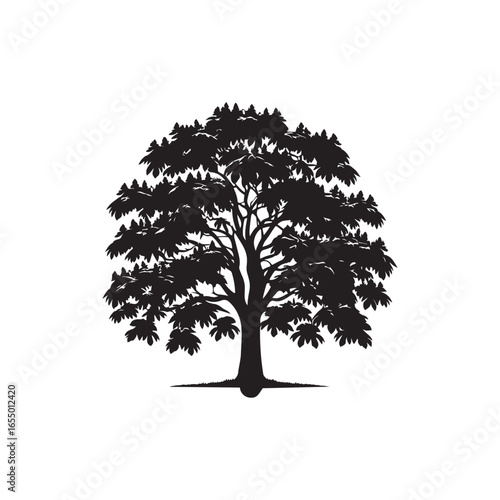 Black Color Chestnut Tree Silhouette Vector Illustration, Solid White Background.