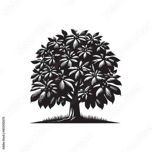 Black Color Chestnut Tree Silhouette Vector Illustration, Solid White Background.
