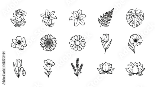 Elegant Floral Collection: A meticulously illustrated compilation of various botanical elements, showcasing an assortment of graceful flowers in a monochromatic palette. 